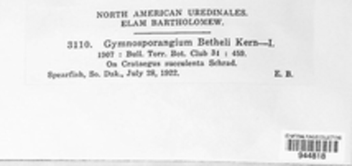 Gymnosporangium bethelii image